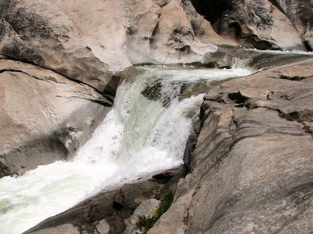 IMG 0979