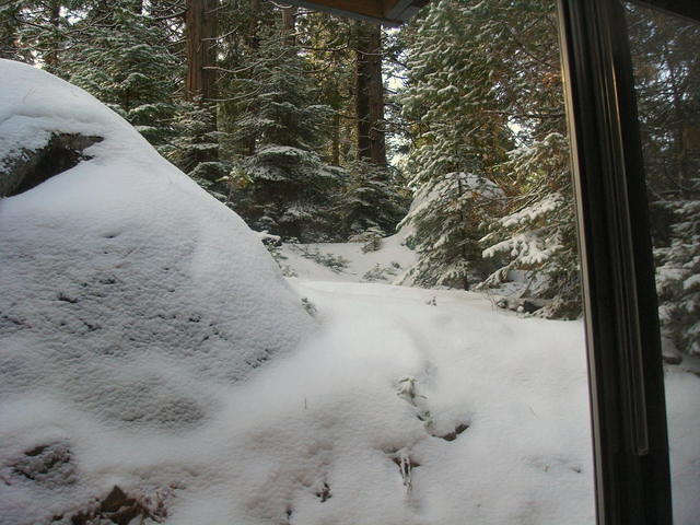 DSC00790