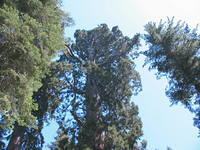 IMG 0962