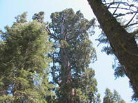 IMG 0965