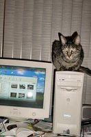TIGRESS KNOWS COMPUTERS